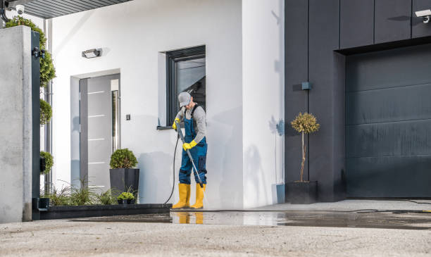 Animal Enclosure Cleaning in Mountain View, CA